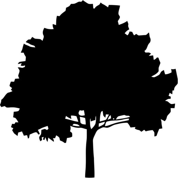 Tree 2 Thumbnail