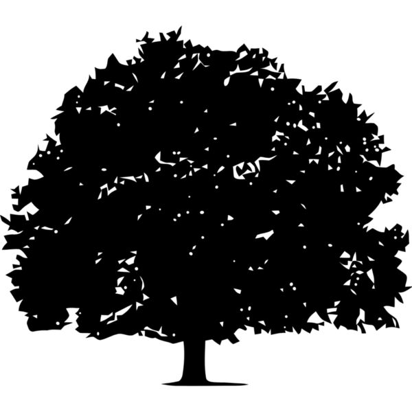 Tree 3 Thumbnail