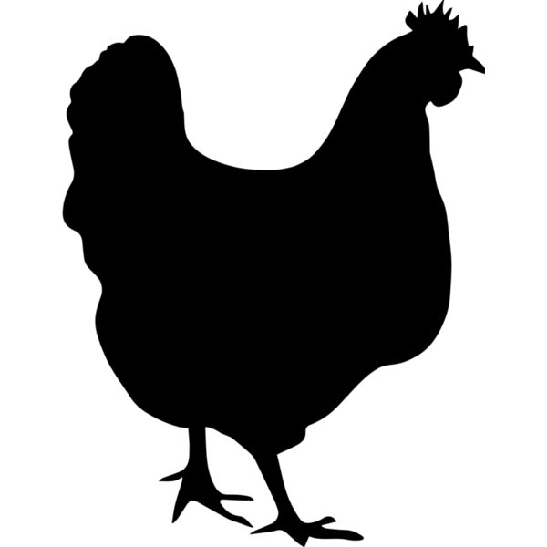Chicken Thumbnail